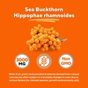 organic-sea-buckthorn-extract-powder-wit-5.jpg