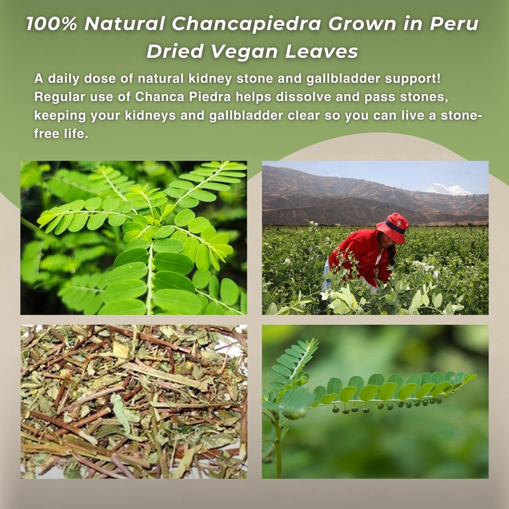 hanan-chanca-piedra-loose-leaf-herbal-te-6.jpg