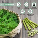 generic-natural-moringa-powder-for-weigh-3.jpg