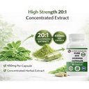 moringa-oleifera-20-1-extract-450mg-90-v-5.jpg