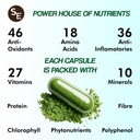 moringa-oleifera-20-1-extract-450mg-90-v-3.jpg