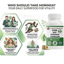 moringa-oleifera-20-1-extract-450mg-90-v-2.jpg