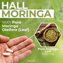 hallusa-natural-moringa-oleifera-capsule-4.jpg