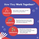first-day-3-in-1-probiotics-for-men-preb-4.jpg