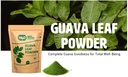 guava-leaf-powder-100-natural-pure-guava-4.jpg