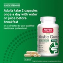 jarrow-formulas-mastic-gum-1000-mg-60-ve-6.jpg