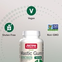 jarrow-formulas-mastic-gum-1000-mg-60-ve-5.jpg