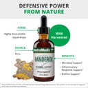 nutramedix-immune-microbial-support-bund-3.jpg