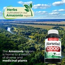 fito-medic-s-horsetail-extract-horsetail-6.jpg