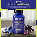urolithin-a-632mg-with-nmn-nr-pqq-magnes-2.jpg