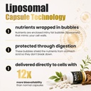 liposomal-nad-supplement-10-707mg-extra--4.jpg