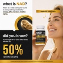 liposomal-nad-supplement-10-707mg-extra--5.jpg