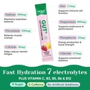 venture-pal-2-in-1-hydration-packets-gut-4.jpg