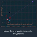 noomadic-maqui-berry-60-capsules-500mg-e-5.jpg
