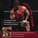 creatine-monohydrate-gummies-sugar-free--5.jpg
