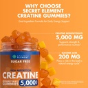 secret-element-creatine-monohydrate-gumm-2.jpg
