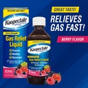 kaopectate-extra-strength-gas-relief-liq-3.jpg