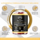 3-pack-alpha-bites-original-formula-7-in-3.jpg