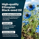 ethiopian-black-seed-oil-capsules-organi-3.jpg