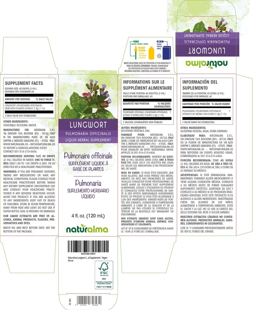naturalma-lungwort-pulmonaria-officinali-2.jpg