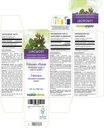 naturalma-lungwort-pulmonaria-officinali-2.jpg
