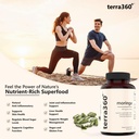 natural-moringa-leaf-powder-capsules-800-5.jpg