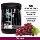 animal-creatine-chews-tablets-enhanced-c-6.jpg