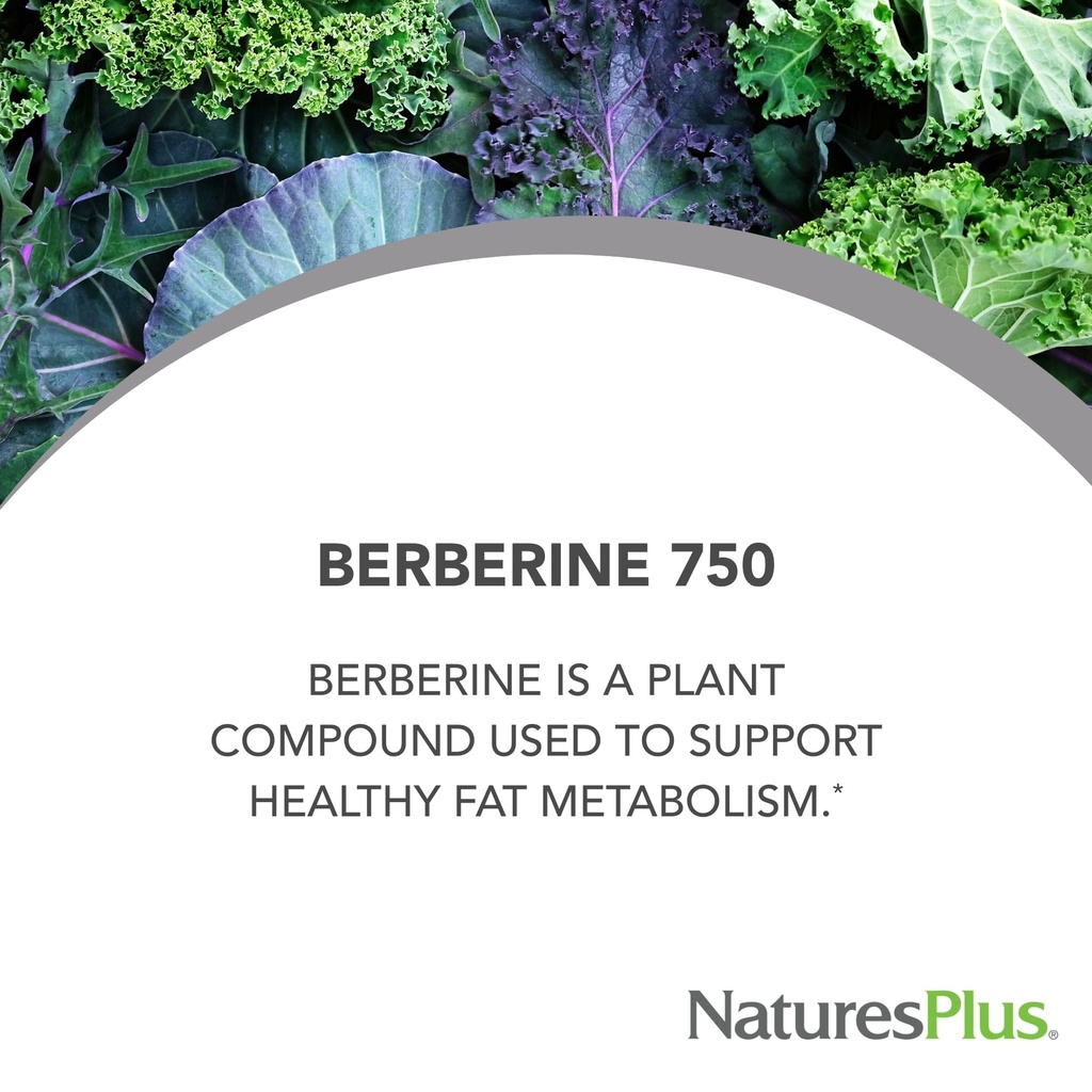 naturesplus-pro-berberine-750-mg-60-caps-4.jpg
