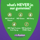 vitafusion-brain-food-gummy-supplement-1-4.jpg