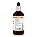 bitter-melon-momordica-charantia-dry-fru-2.jpg