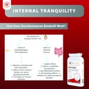 internal-tranquility-saccharomyces-boula-6.jpg
