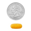 super-vitamin-b-complex-dietary-suppleme-6.jpg