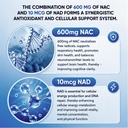 nac-600mg-nad-daily-complex-with-coconut-3.jpg