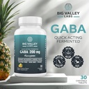 gaba-200-mg-chewable-tablets-pharmagaba--4.jpg