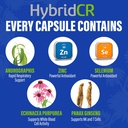 hybridcr-rapid-immune-support-supplement-4.jpg