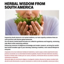 sarsaparilla-extract-drops-for-body-deto-6.jpg