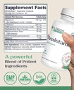 anxietame-60-count-l-theanine-supplement-2.jpg