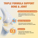 ginger-turmeric-curcumin-supplement-gumm-5.jpg