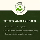 swanson-fisetin-flavonoid-100-milligrams-4.jpg