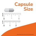 now-foods-supplements-pycnogenol-30-mg-a-4.jpg