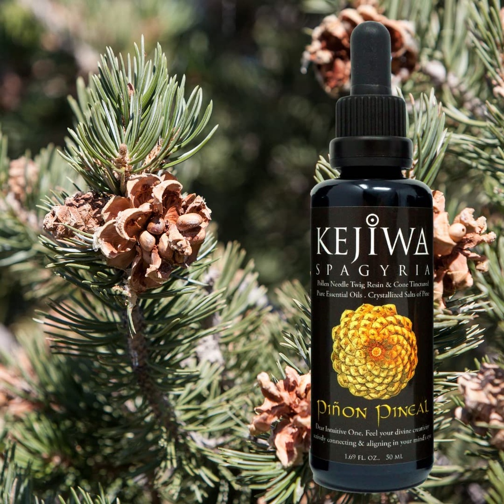 pi-on-pineal-spagyria-wild-harvested-pin-5.jpg