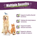 amber-naturalz-tyd-thyroid-balance-for-p-2.jpg