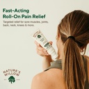 new-nature-s-willow-roll-on-pain-relief--4.jpg