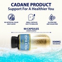 cadane-holy-basil-supplements-capsules-w-2.jpg