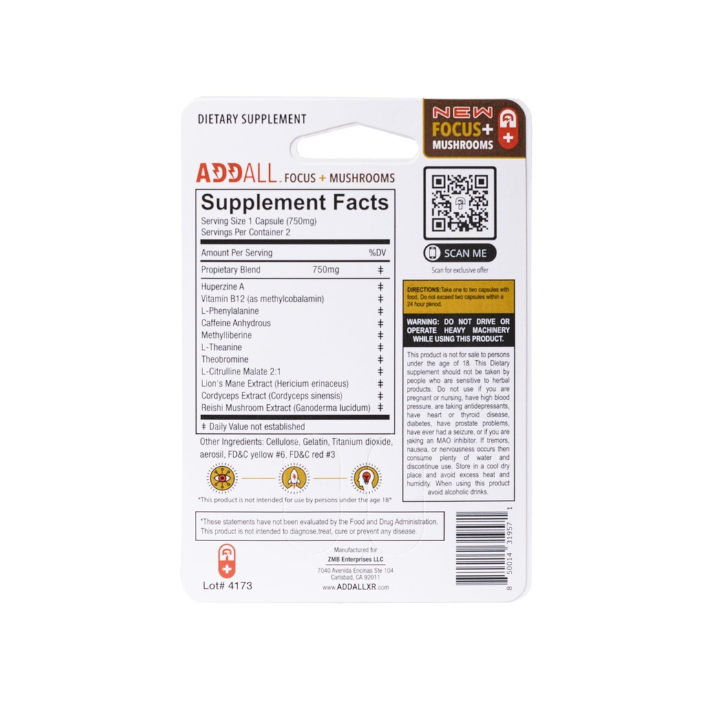 focus-mushrooms-memory-3-pack-and-rapid--4.jpg