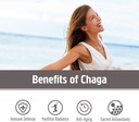 om-mushroom-superfood-chaga-mushroom-cap-3.jpg