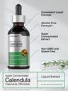 horbaach-calendula-flower-liquid-tinctur-4.jpg