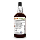 sheep-sorrel-rumex-acetosella-dry-herb-g-2.jpg