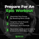 species-nutrition-stimulyze-nootropic-pr-3.jpg
