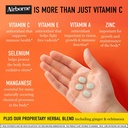airborne-1000mg-vitamin-c-zinc-immune-su-4.jpg